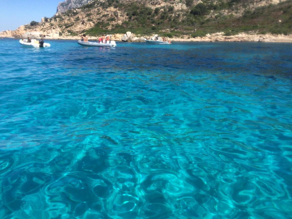 Casa Sul Mare Golfo Dell'Asinara I Lägenhet Porto Torres Exteriör bild