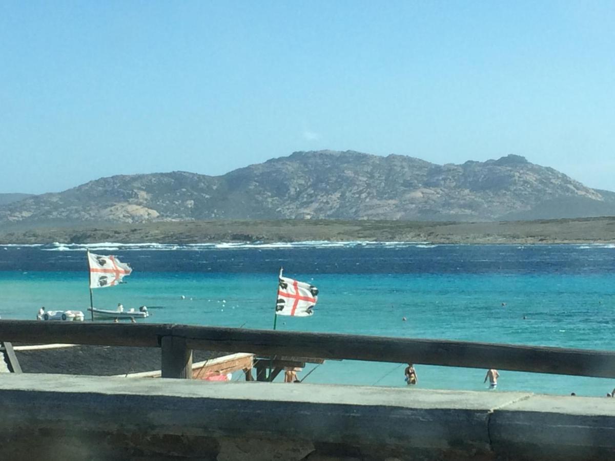 Casa Sul Mare Golfo Dell'Asinara I Lägenhet Porto Torres Exteriör bild